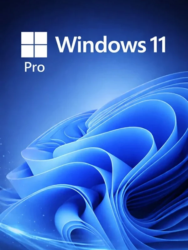 Windows 11 Pro